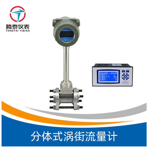 <b>分体式涡街流量计</b>