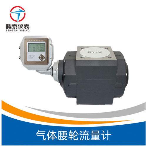 <b>气体腰轮流量计</b>